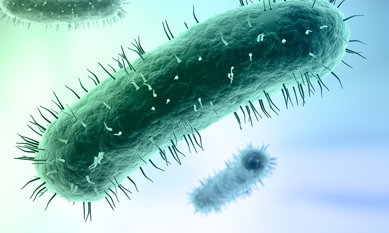 Mycoplasma genitalium - супербактерия